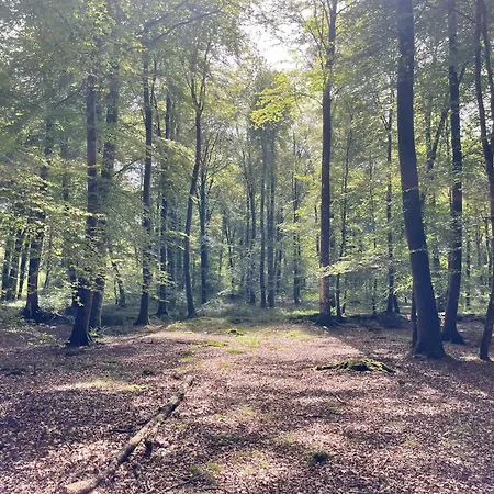 La Maringote Nyaraló *