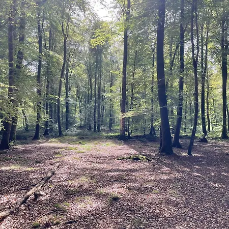 La Maringote Nyaraló *