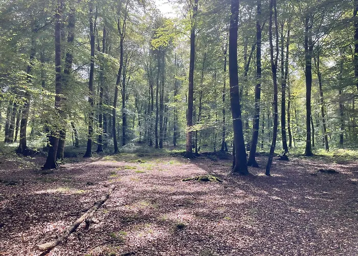 La Maringote Дом отдыха *