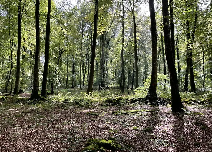 La Maringote * Cerisy-la-Foret